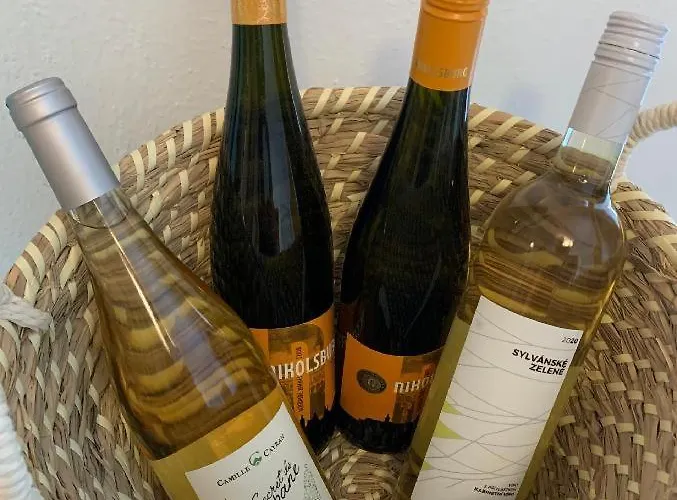 U Skleneneho Stromu Accommodatie bij particulieren
